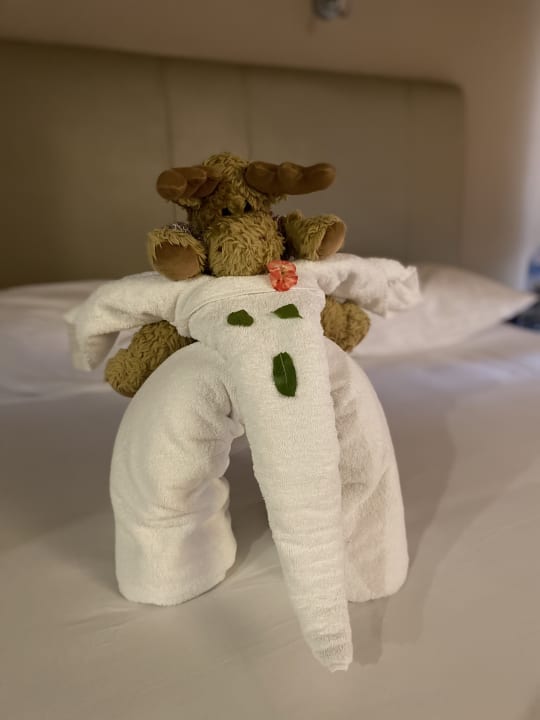 Zimmer Jaz Makadi Oasis Resort