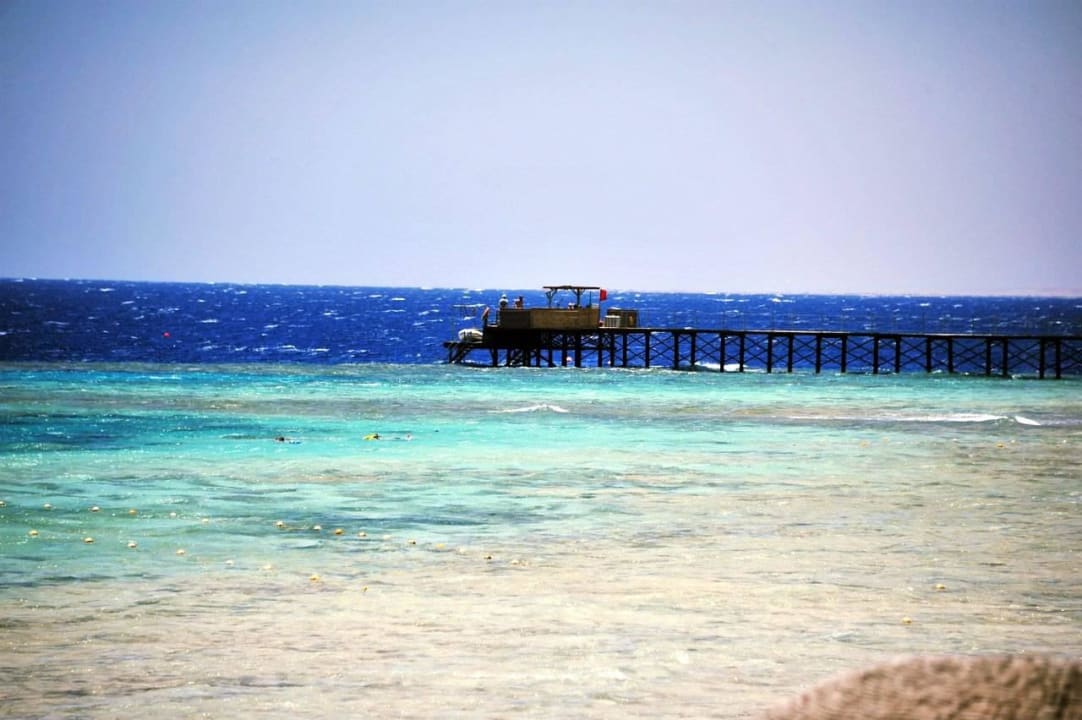 Steg Gorgonia Beach Hotel Gorgonia Beach Resort