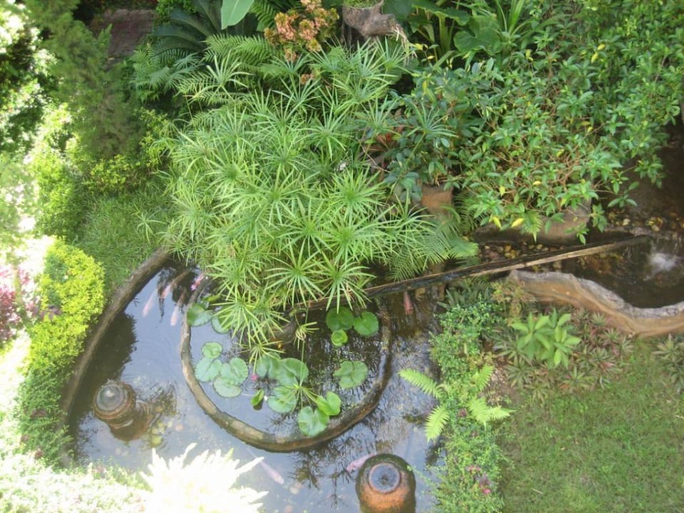 Kleine Grünanlage mit Kois Eurana Boutique Hotel