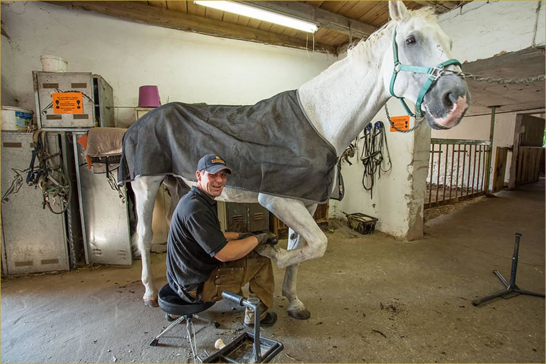 Rundgang per FotoShooting Sommer 2015 Hotel Reiterhof Altmühlsee