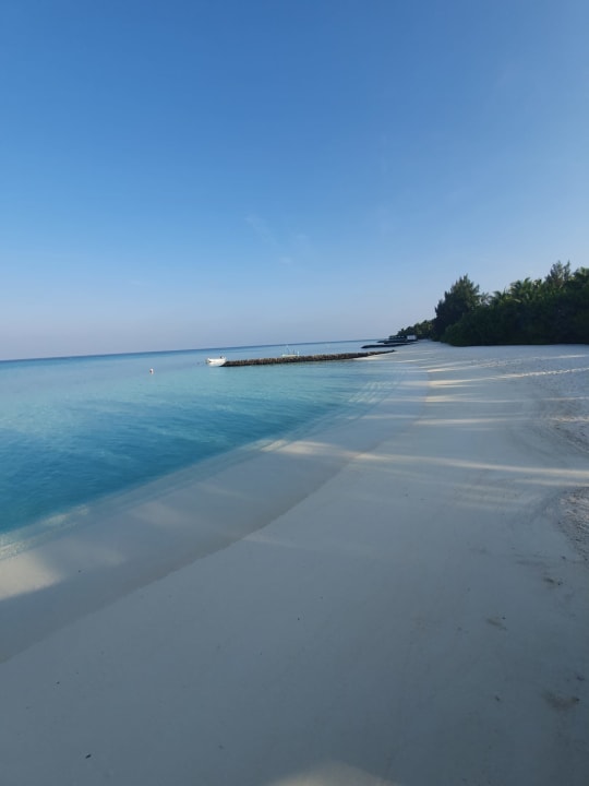 Strand Summer Island Maldives