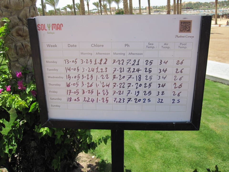 Temperaturen Mitte Mai-ein Traum Jaz Solaya