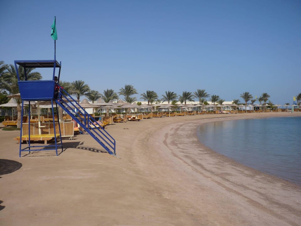 Einfach nur toll Desert Rose