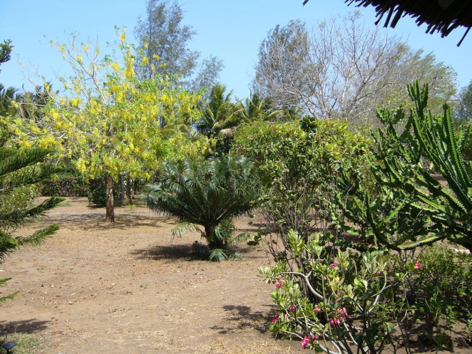 Blick in den Garten Ferienwohnung Turawa