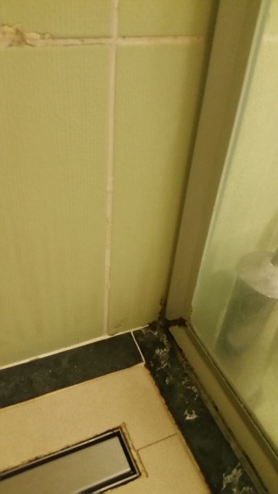 Zimmer Hotel Orfeus Park