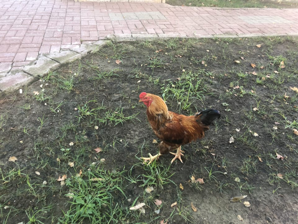 Sonstiges VONRESORT Golden Beach