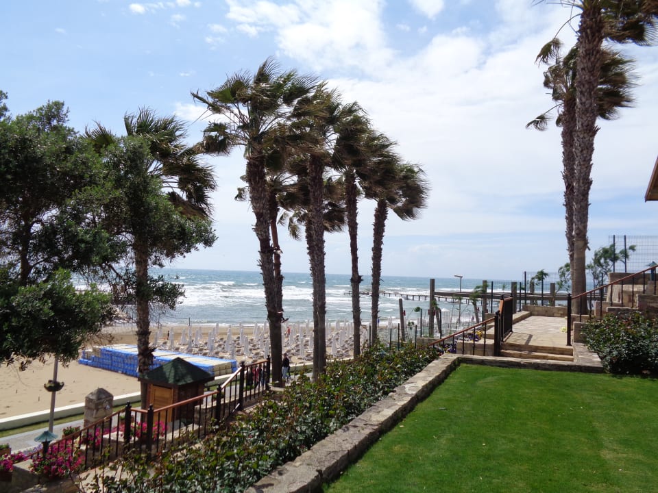 Ausblick Arum Barut Collection