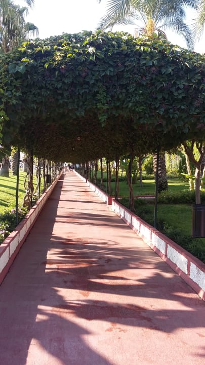 Gartenanlage Hotel Turan Prince