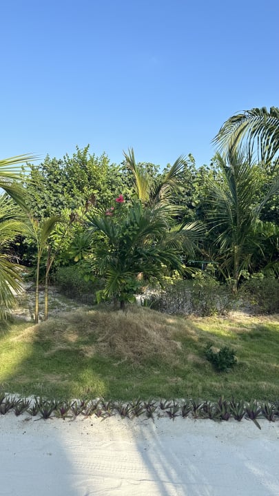 Gartenanlage You & Me Maldives