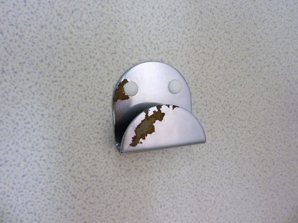 Haken für Fottierwäsche im Badezimmer Hotel Novotel Genève Aéroport France