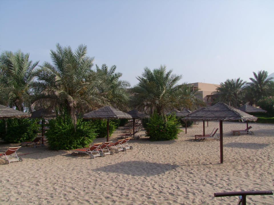 Entre mer et hôtel Miramar Al Aqah Beach Resort