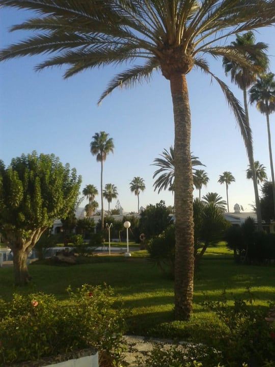 Liegefläche Sahara Beach Club