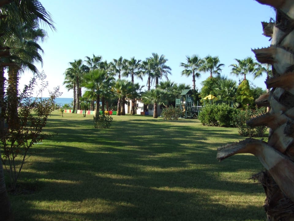 Natur pur Royal Atlantis Beach Hotel