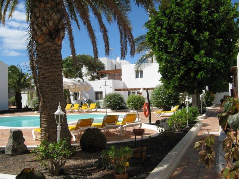 Garten im Centro Apartamentos Tamarindos
