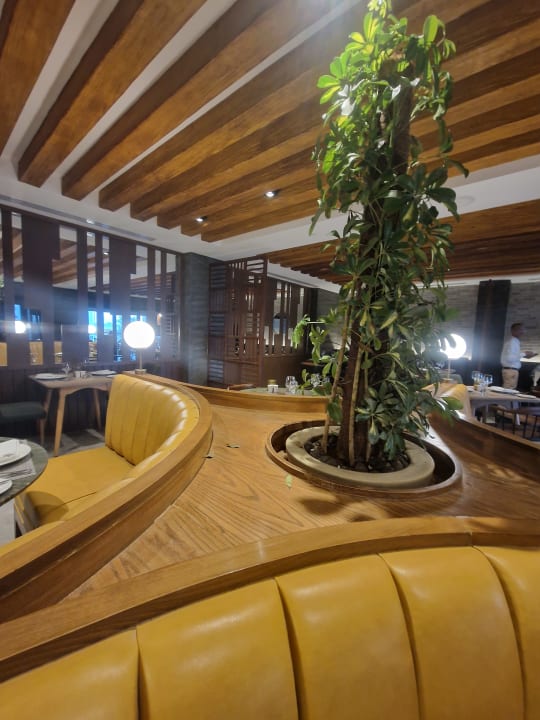 Gastro JAZ Elite Casa del Mar Beach