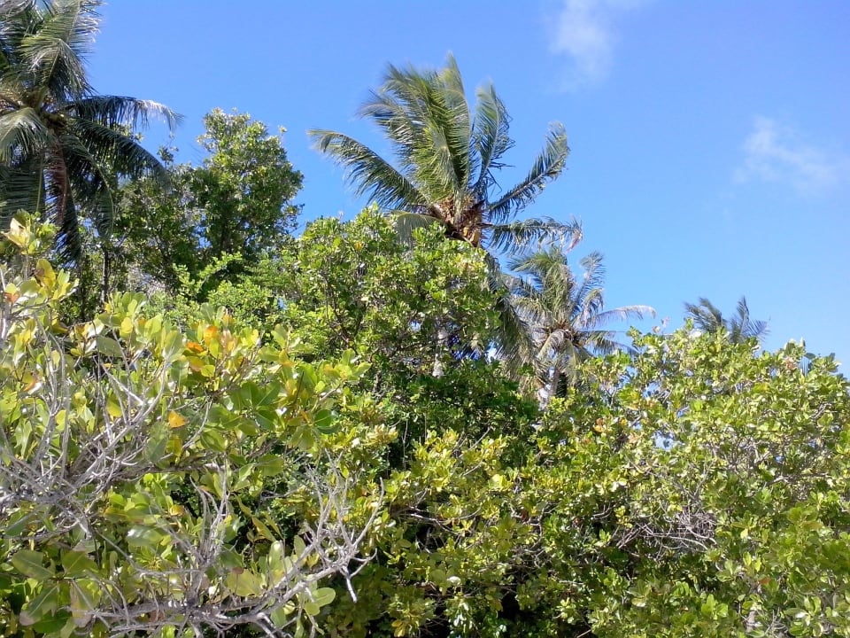 Am Strand Embudu Village