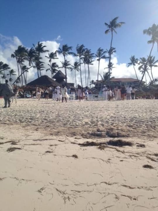 Hotel Strand für alle Dreams Royal Beach Punta Cana