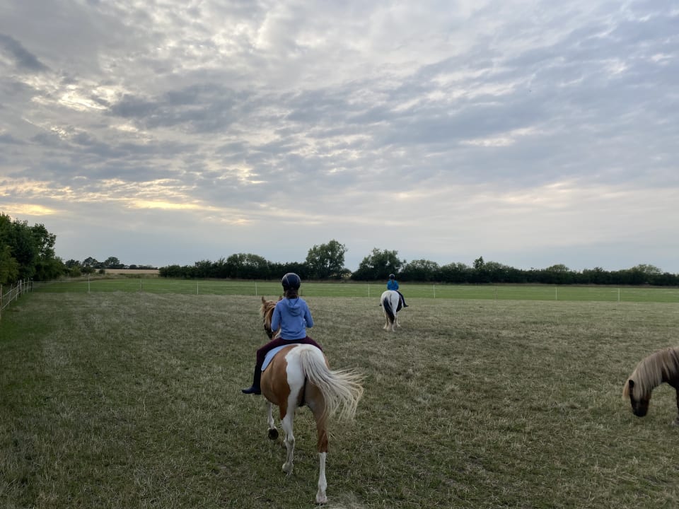 Sport & Freizeit Bauernhof Hinz Wenkendorf