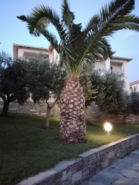 Außenansicht Akrathos Beach Hotel