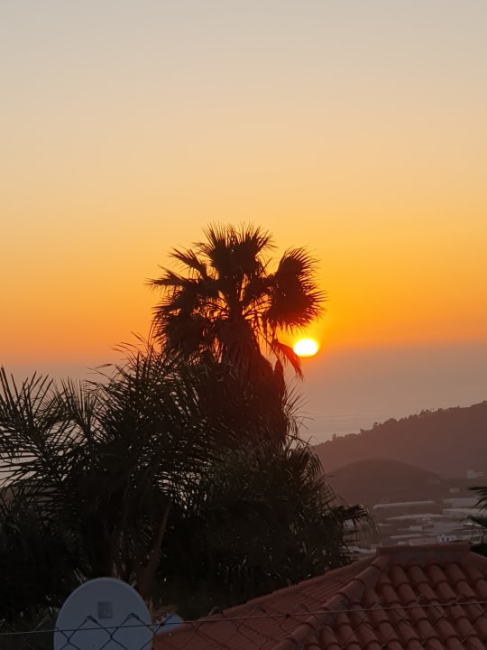 Ausblick La Palma Jardin