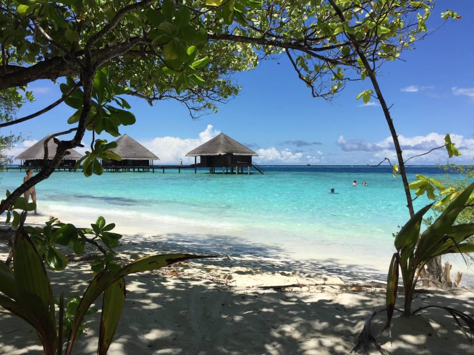 Strand Adaaran Club Rannalhi - All Inclusive