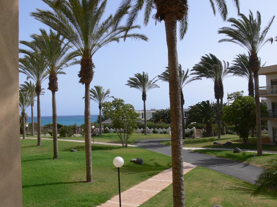 Ausblick auf die Anlage vom Balkon SBH Costa Calma Beach Resort