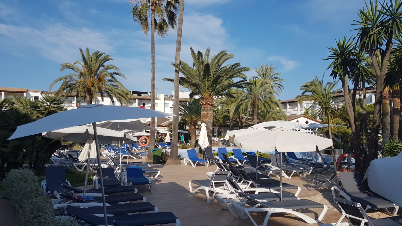 Pool Alcudia Garden Aparthotel
