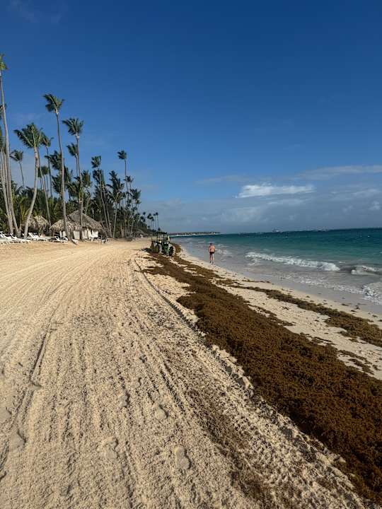 Strand TRS Turquesa Hotel - Adults only