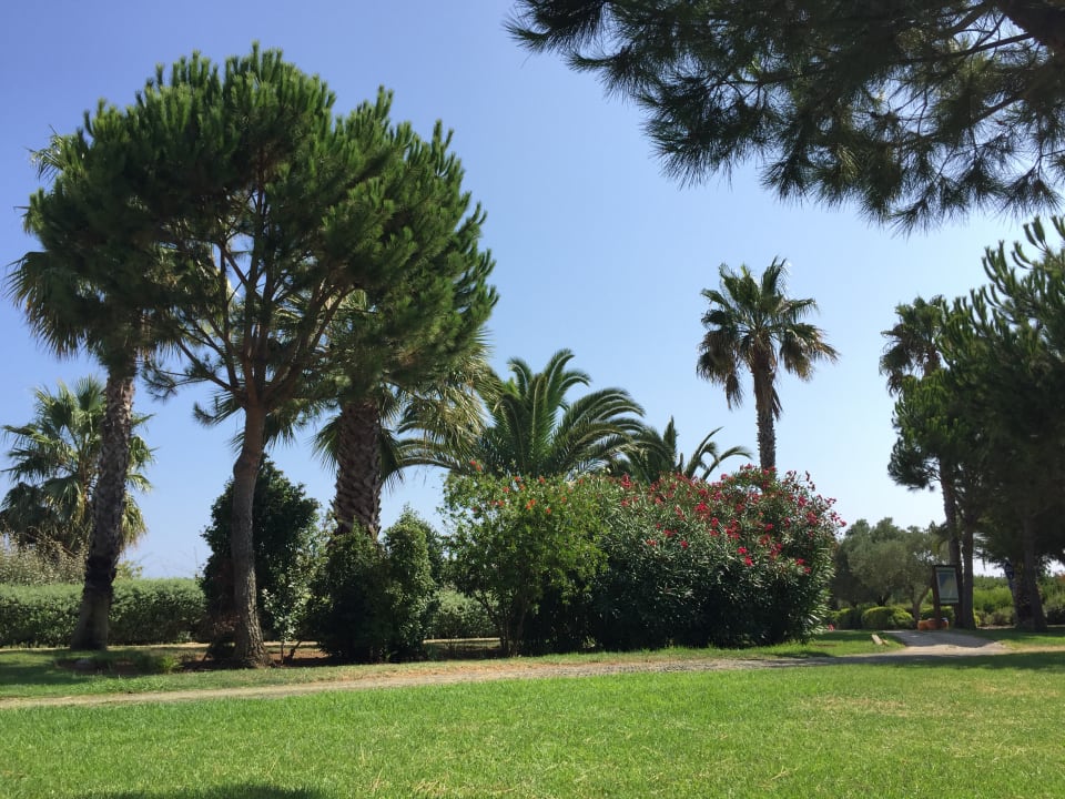 Gartenanlage ROBINSON QUINTA DA RIA