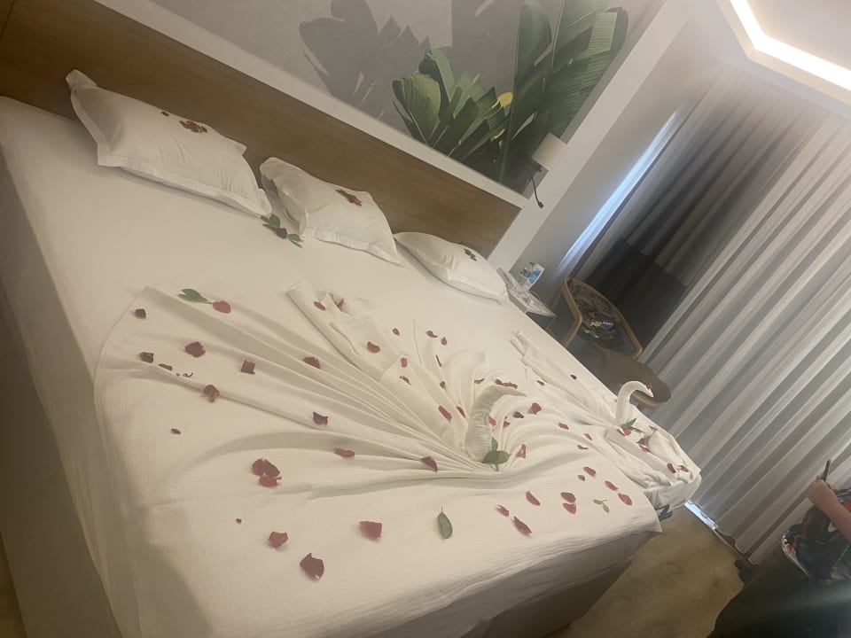 Zimmer Alba Resort Hotel