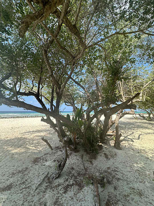 Strand Kuredu Island Resort & Spa