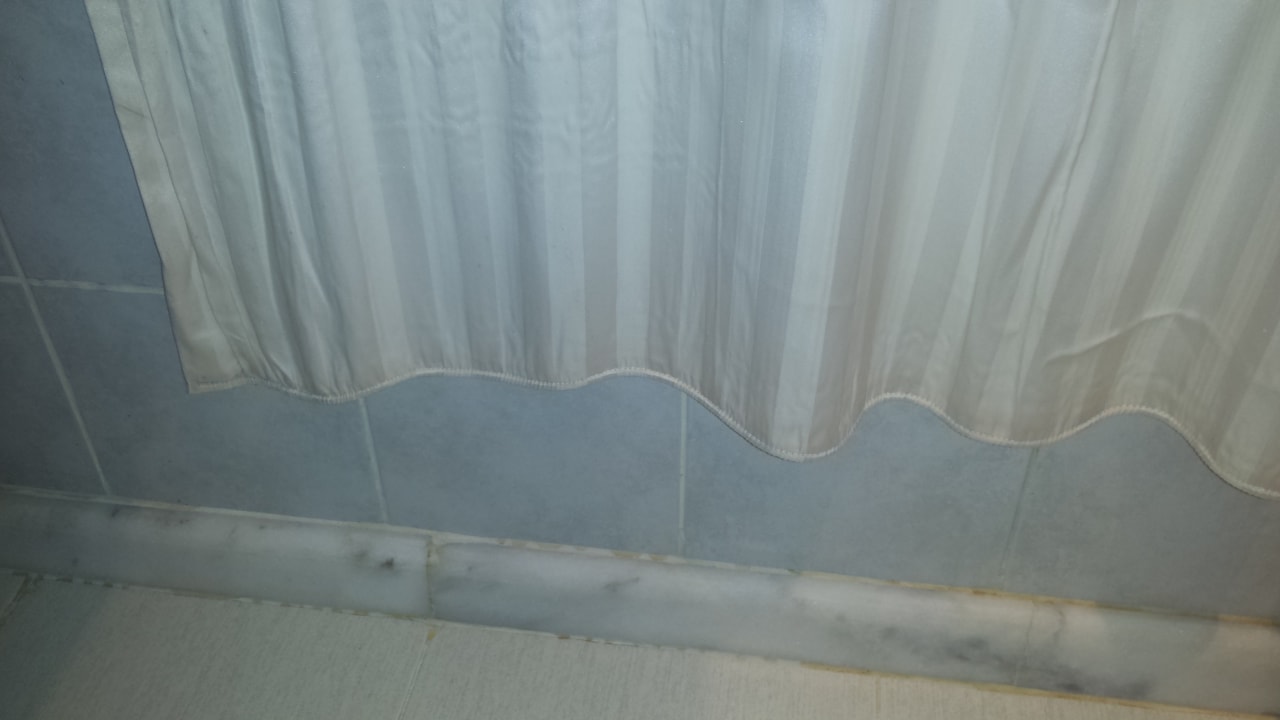 Zimmer Sea Star Beau Rivage