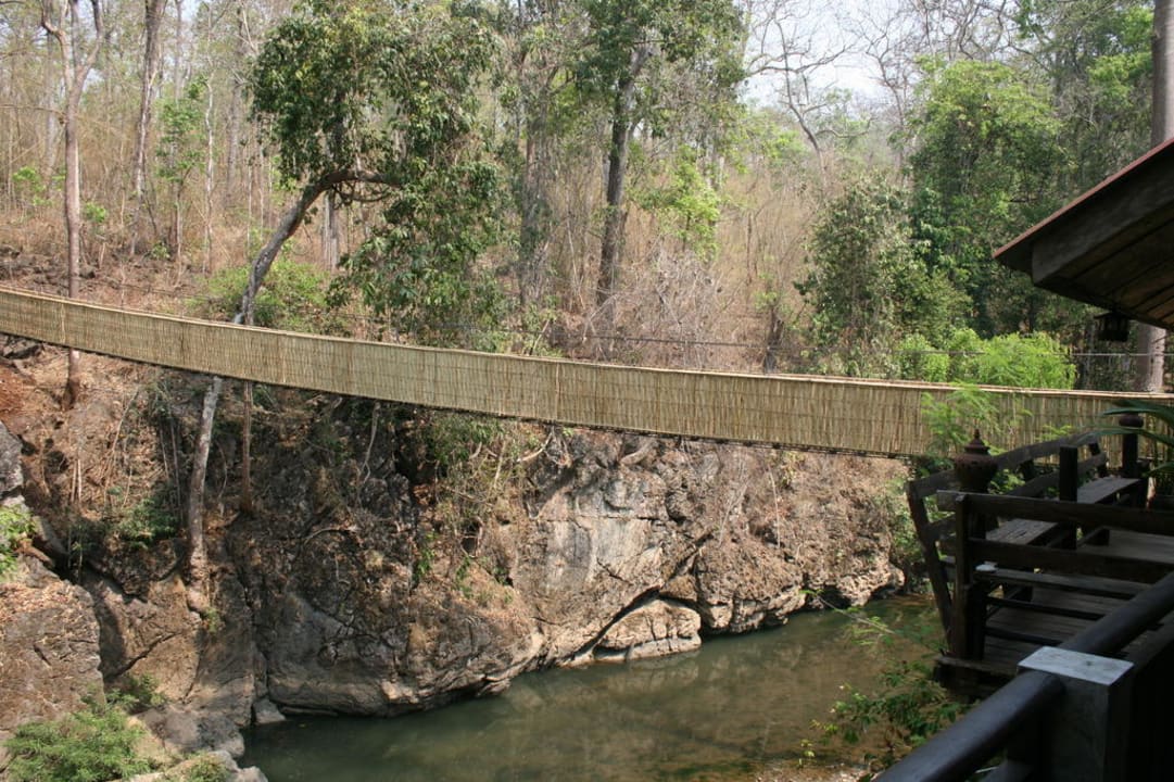 Hängebrücke Little Eden Guesthouse