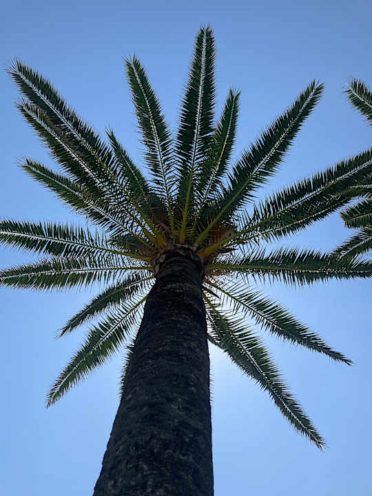 Pool allsun Hotel Bahia del Este