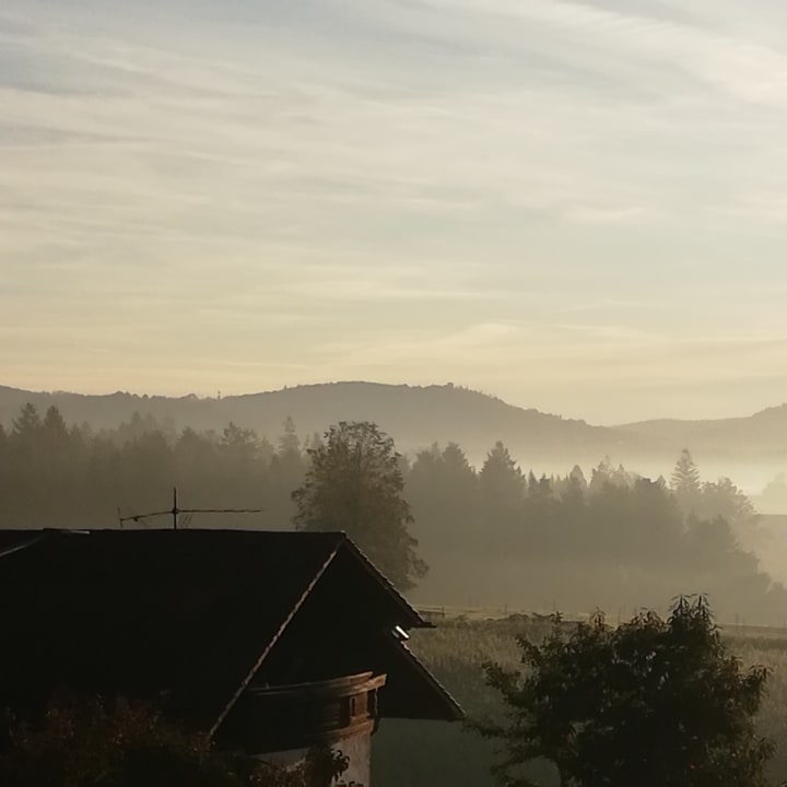 Ausblick Das Stemp Wellnessresort