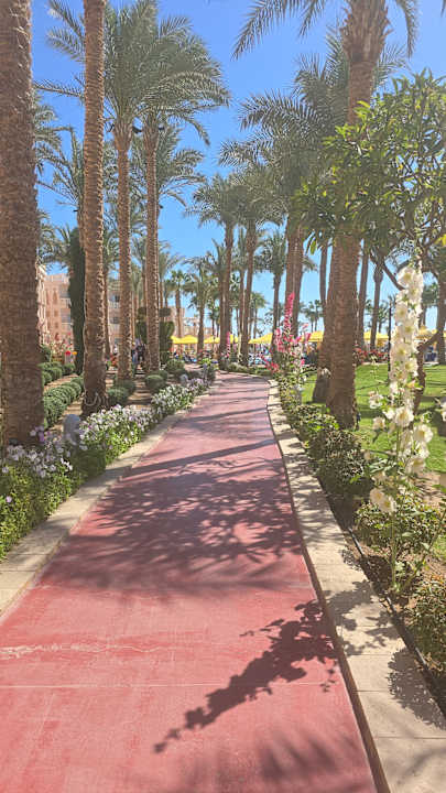 Gartenanlage Pickalbatros Palace Resort