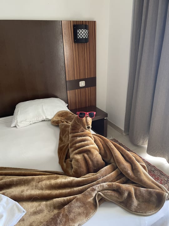 Zimmer El Mehdi Beach Resort