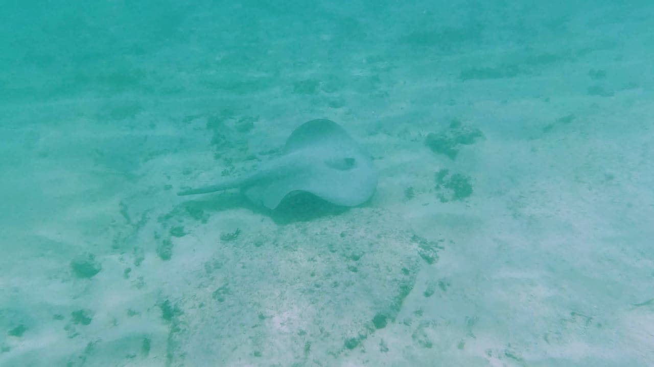 Strand Akumal Bay Beach & Wellness Resort