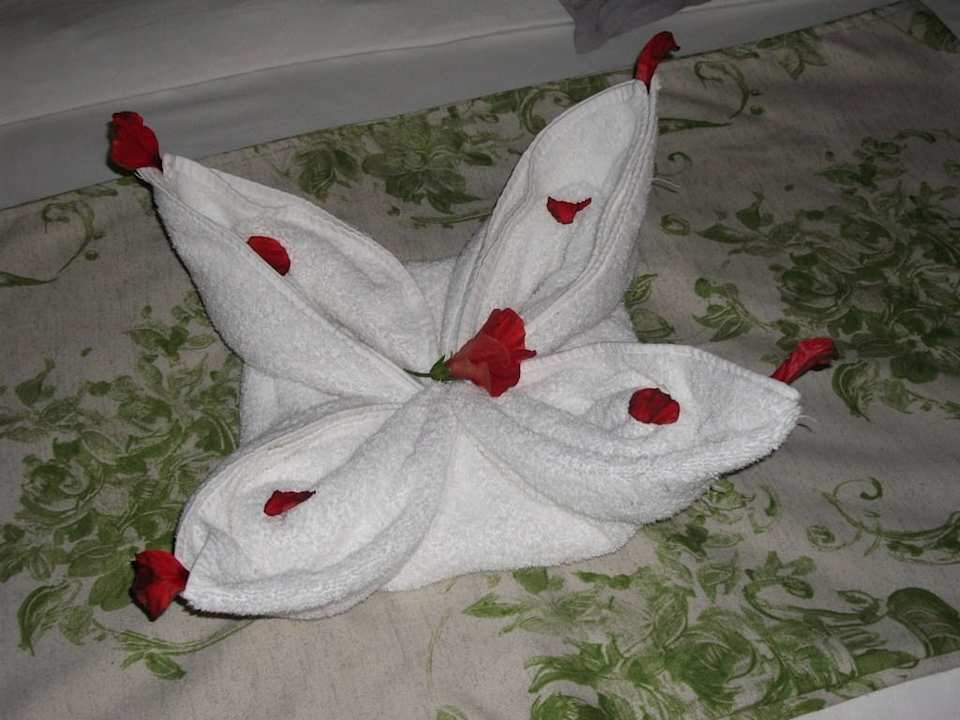 Roomservice ganz schön kreativ Ghazala Gardens