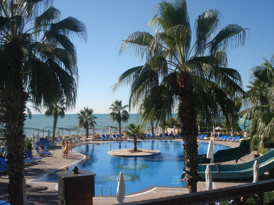 Wunderschön Papillon Belvil