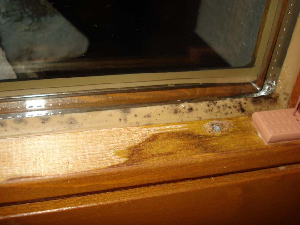 Küchenfenster Appartements Am Burgsee