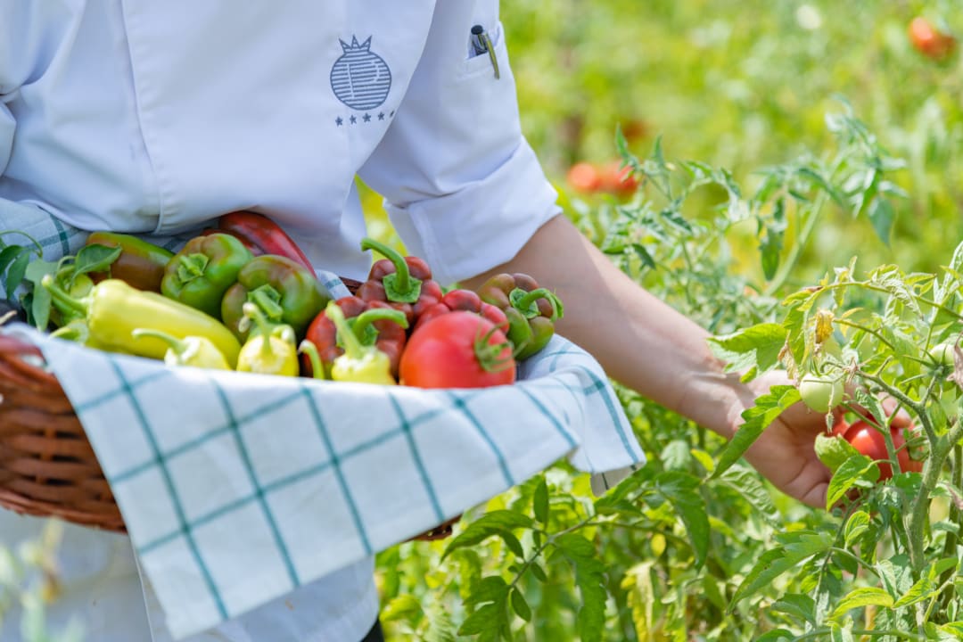 Gastro Pomegranate Wellness Spa Hotel