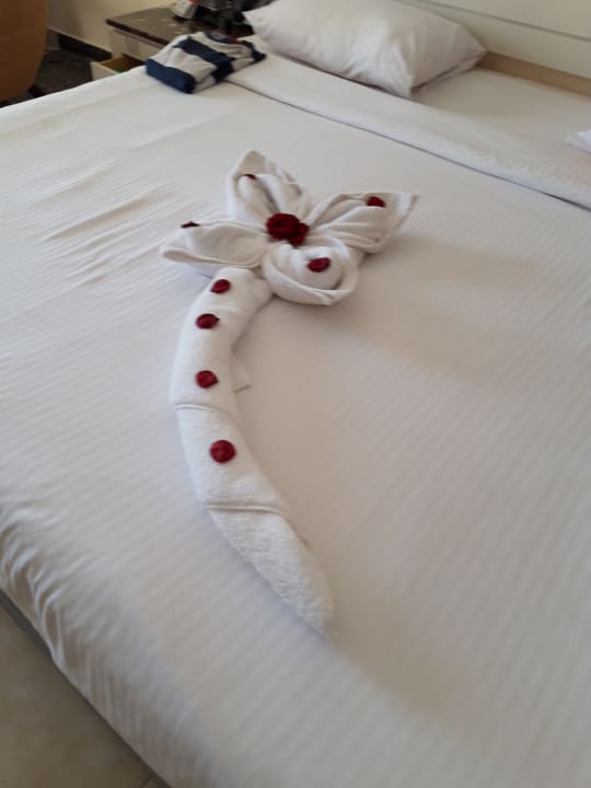 Zimmer Tropitel Sahl Hasheesh