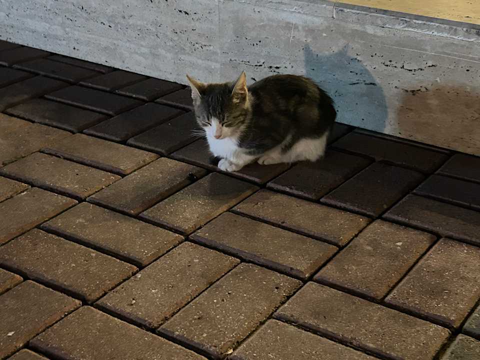 Sonstiges VONRESORT Golden Beach