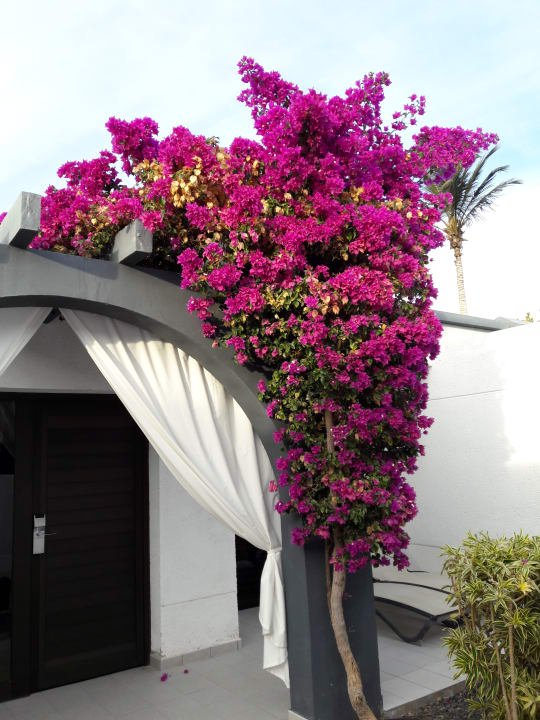 Zimmer R2 Romantic Fantasia Suites - Adults only