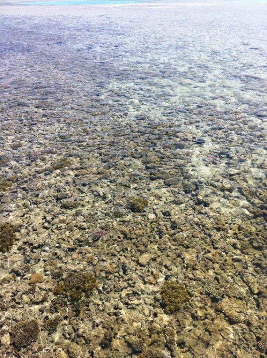 Hausriff Stella Beach Resort & Spa Makadi Bay