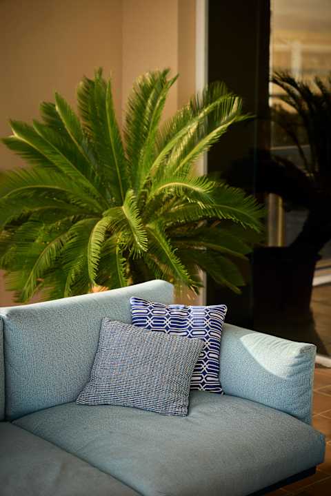 Lobby Hotel Catalonia Majórica