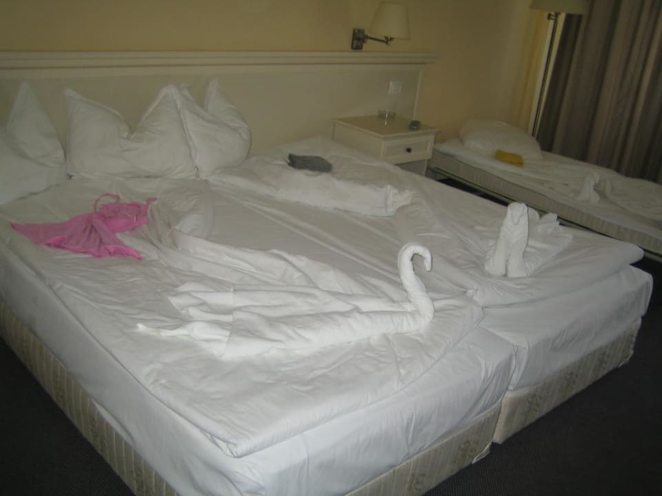 Zimmer HVD Riviera Beach