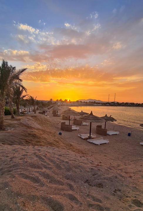 Strand Coral Sun Beach