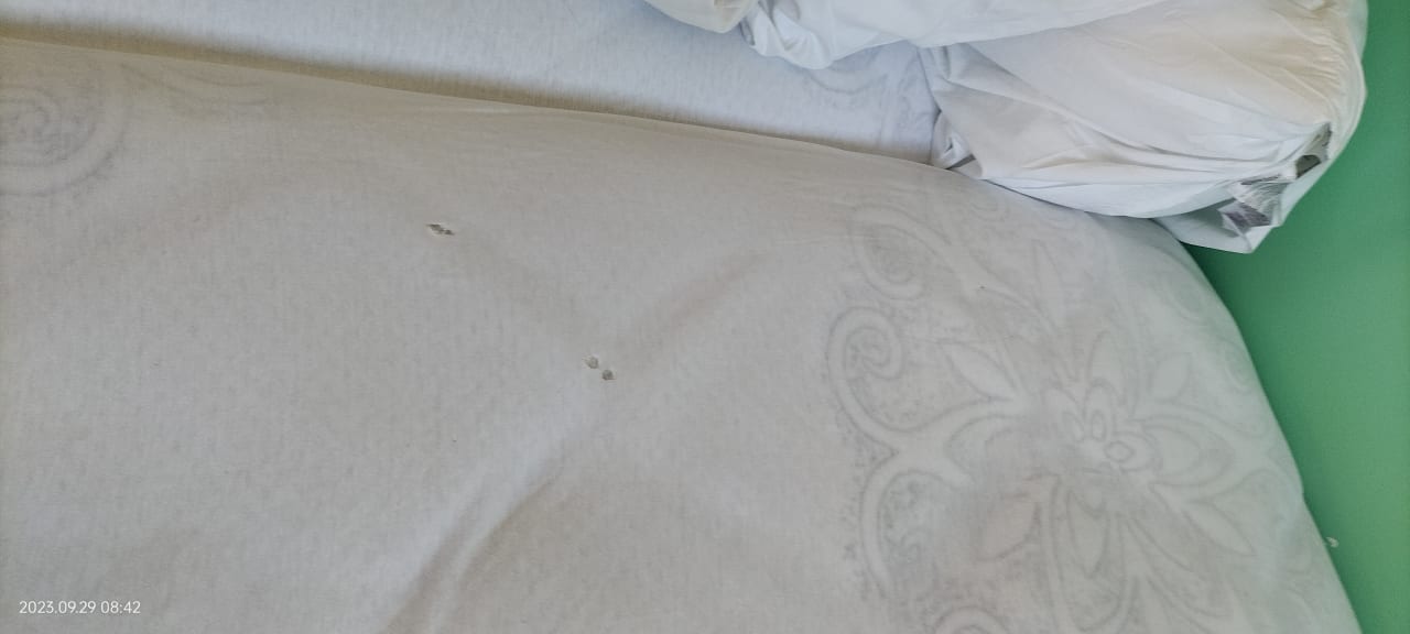 Zimmer Berghotel Drei Brüder Höhe